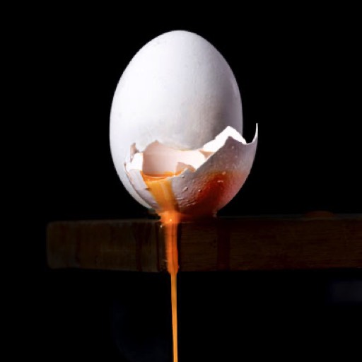 foodphotography, foodfotografie, ei, egg